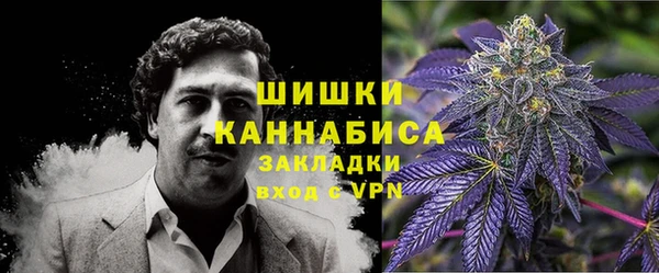 молекула духа Приозерск