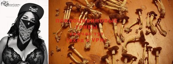 стаф Бронницы