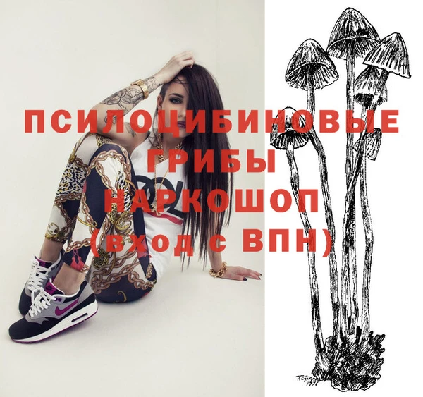 молекула духа Приозерск
