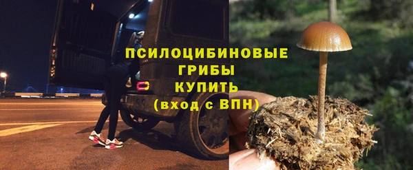 молекула духа Приозерск