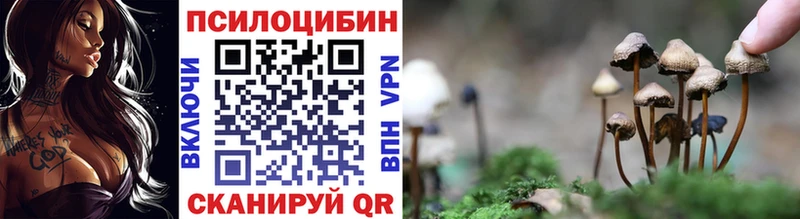 Псилоцибиновые грибы Psilocybe  Нолинск 